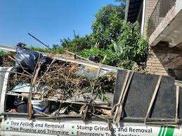 Best Construction Debris Removal  in Anniston, AL