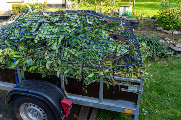 Best Recycling Services for Junk  in Anniston, AL